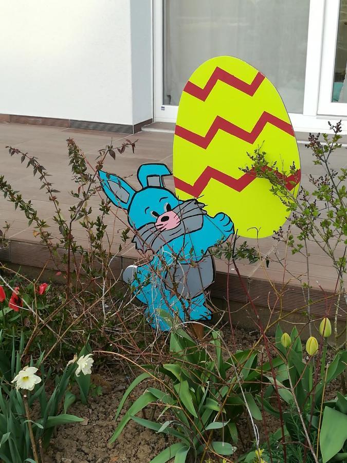 Les Coeurs De Cachemire Apartamento Breuschwickersheim Exterior foto